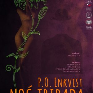 Plakat manji Noć Tribada